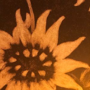 Meet your Posher, Zee